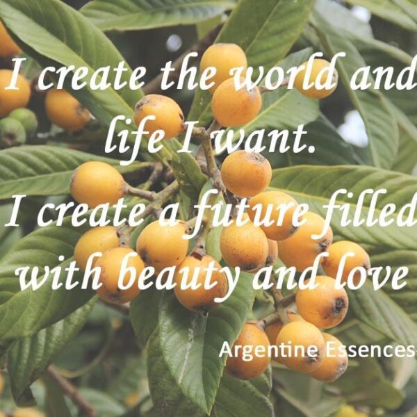 Loquat with quote