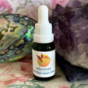 Heal You Inner Child