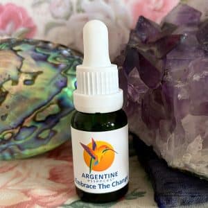 I Embrace The Change