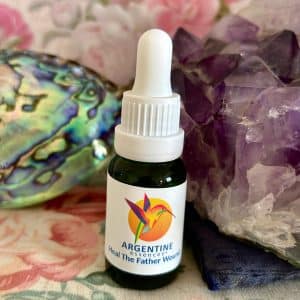 Heal The Father Wound