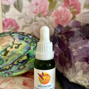 Heal the Mother Wound